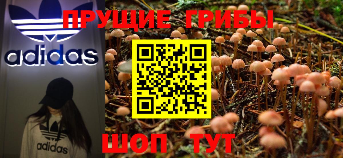 купить закладку  Галлюциногенные грибы Psilocybine cubensis  Вход с VPN  Грозный 