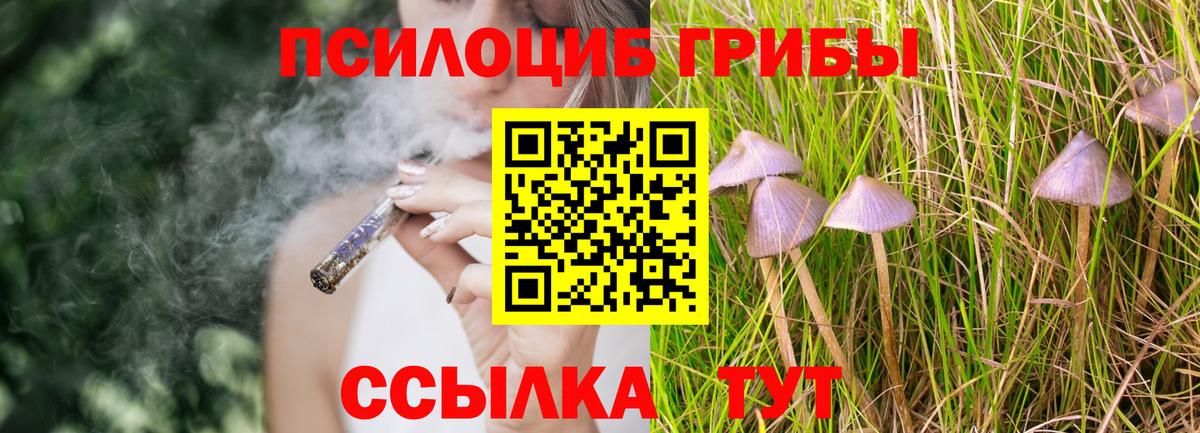 Галлюциногенные грибы Psilocybine cubensis Грозный