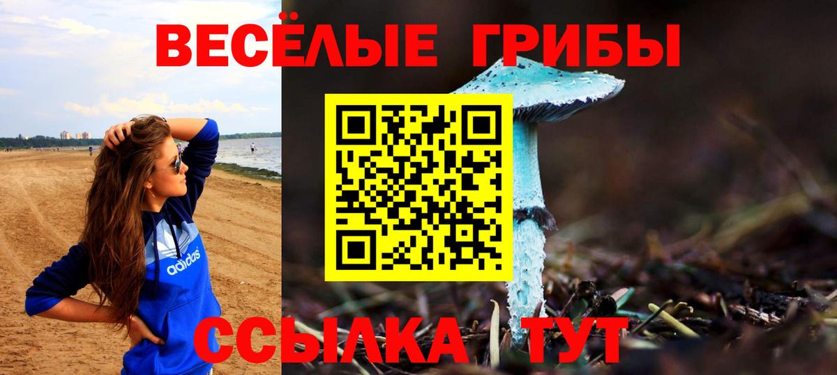 Грозный  МАРИХУАНА  Вход с VPN  Экстази  MDMA  ГАШИШ  Меф кристаллы  Cocaine  МЕТАДОН  LSD-25 